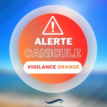 alerte canicule